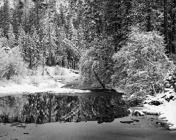 "Winter Along the Merced River #2"