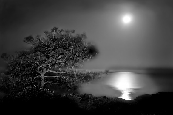 "Moon Over Torrey Pines Natural Preserve"