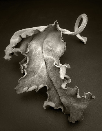 "Leaf #1"