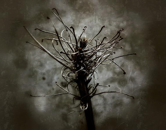 "Angst 06-2014"
