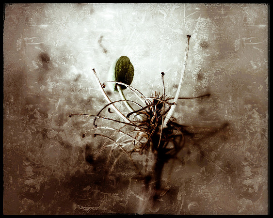 "Loss", 2014