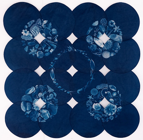 "Cultivation of Silence" by Annalise Neil