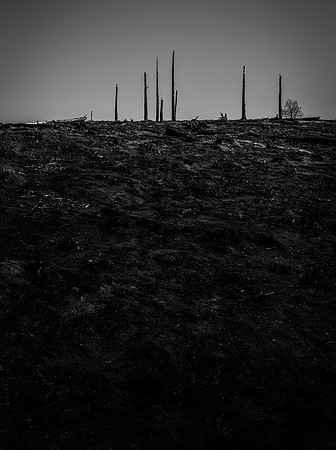 "Burn Scars 3"