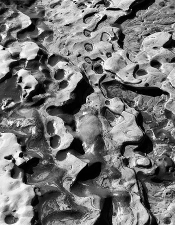 "Point Lobos #1"