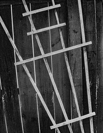"Fence"