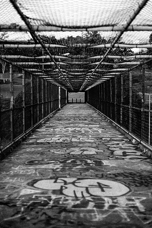 "Pathway"