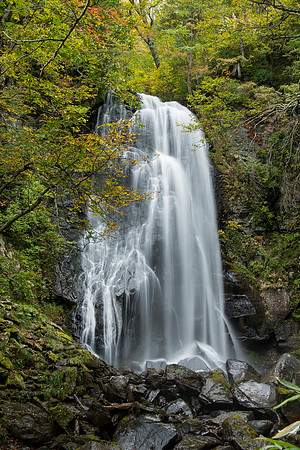 "Water Curtain"