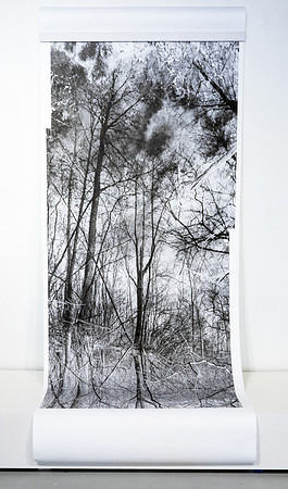 "Ground/Water: Floodplain, (County Road K), 2024"