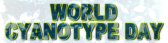 Web Banner WCD