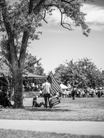 "Tree of Liberty"