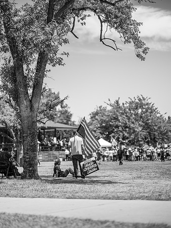 "Tree of Liberty"