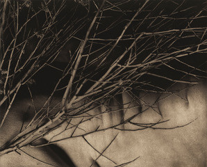 "Remnants 230"