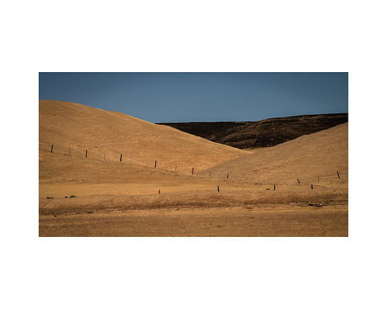 "Central Valley Hillsides"