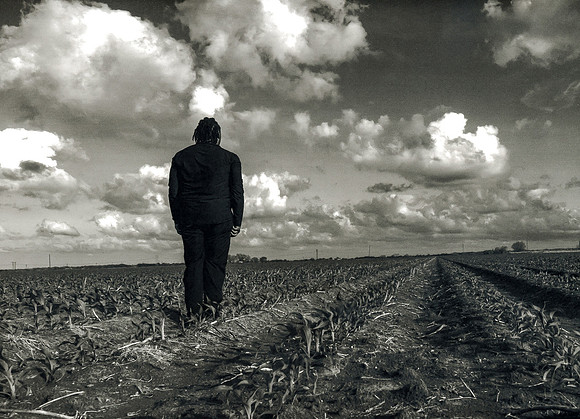 "A Way of Looking - Corn Fields"