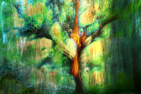 "Fire Within"