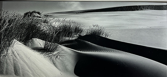 "Coastal Oregon Dunes 1"