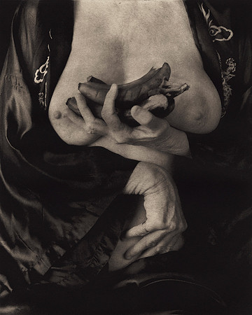 "Food & Flesh 5"