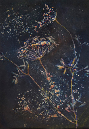 "Night Garden"