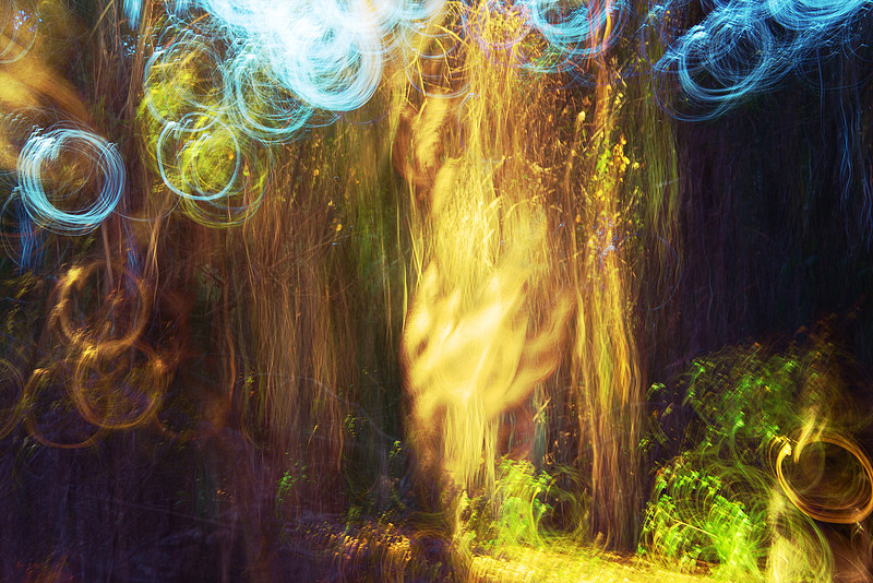 "Into the Woods"