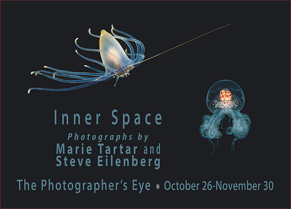 Inner Space Showcard Front
