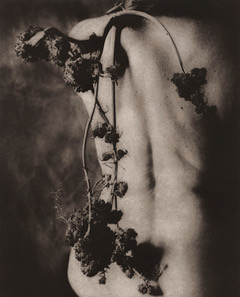 "Remnants 280"