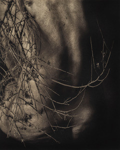 "Remnants 277"