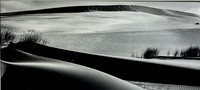 "Coastal Oregon Dunes 2"