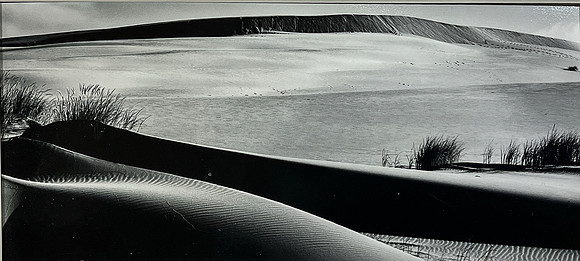 "Coastal Oregon Dunes 2"