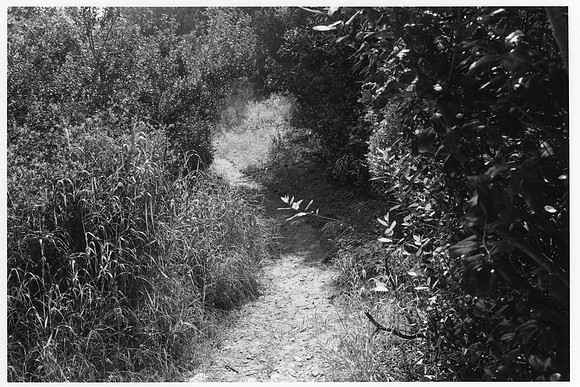 Award Winners: "San Diego Canyons #5" by Kevin Baca