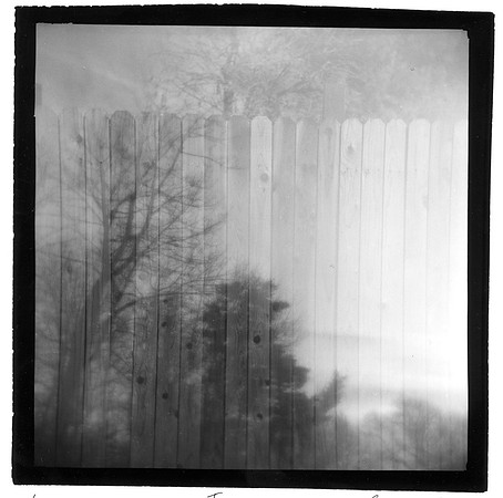 "Arizona Fence + Massachusetts Tree Silhouette"