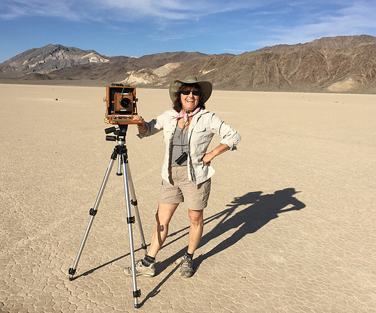 Donna Cosentino