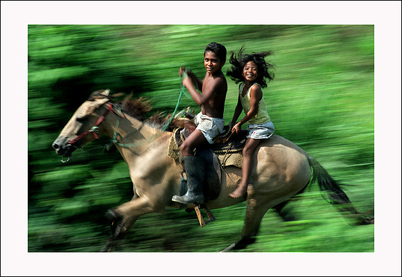 ITEM 03: “Chiapas Racers” by Don Bartletti