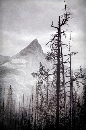 "Sentinels of Time"