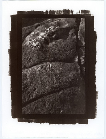 "Sarcophagus"