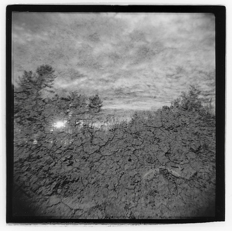 "Scorched Woods"