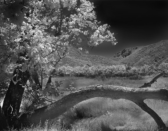 "Mother Nature"