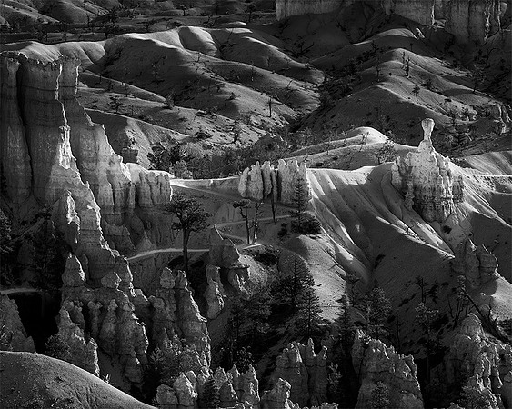 "Winding Trail"