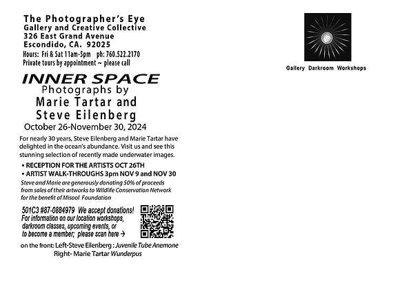 Inner Space Showcard Back