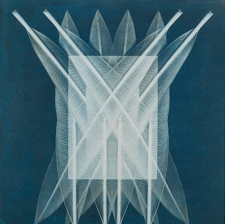 McCorkle: "Curiosity #3"